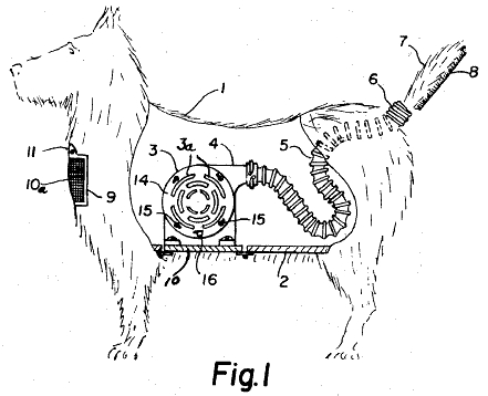 wacky patent illustration